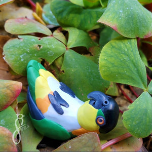 Black-Capped Caique Figurine