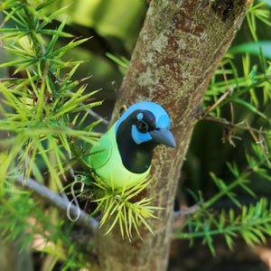 Green Jay Charm