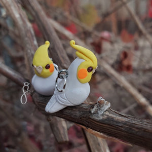 Lutino Cockatiel Charm