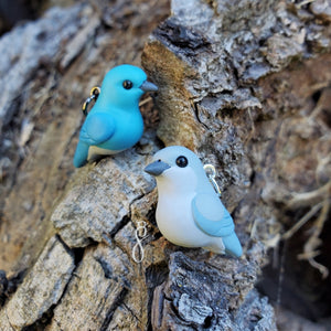 Mountain Bluebird Pair