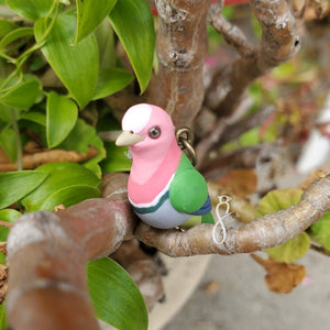 Pink-headed Fruit Dove Charm