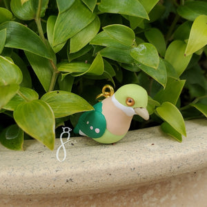 Pink-spotted Fruit Dove Charm